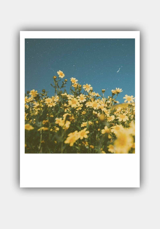 FLOWER Mini Polaroid Photo Prints Set Pitsstop